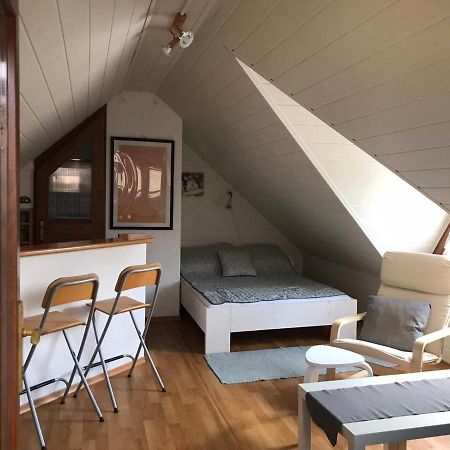 Privat Mini 307 Apartman Bešeňová Kültér fotó